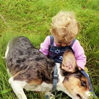 John Dimatteo Photo 16