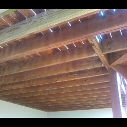 Susan Dinges Photo 3