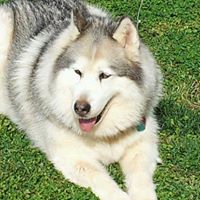 Susan Rains Photo 13