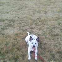 Kathy Shultz Photo 28