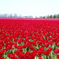 Linda Fenstermaker Photo 10