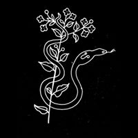 Joey Webster Photo 19