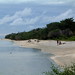 Rachel Stephens Photo 4
