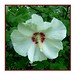 Sharon Whiting Photo 30