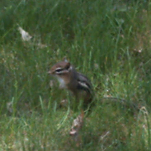 Stephanie Mccarthy Photo 15