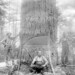 William Fletcher Photo 27