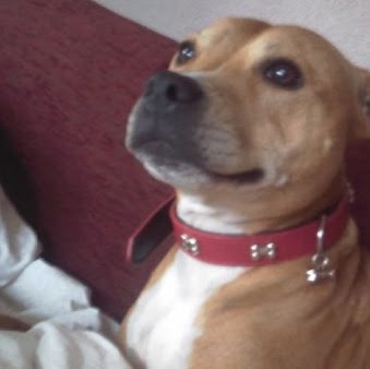 Carol Moran Photo 14