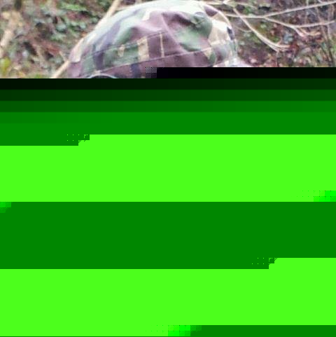 Del Robinson Photo 10