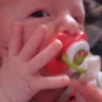 Stacy Grogan Photo 8