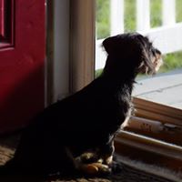 Catherine Newman Photo 43