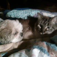 Kathy Johansen Photo 24