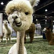 Cory Parrish Photo 20