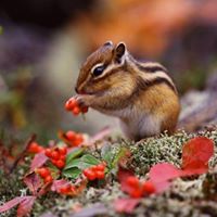 Brenda Lawrence Photo 24