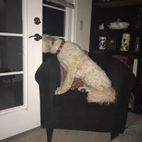 Margaret Booker Photo 7