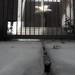 Barbara Gates Photo 2