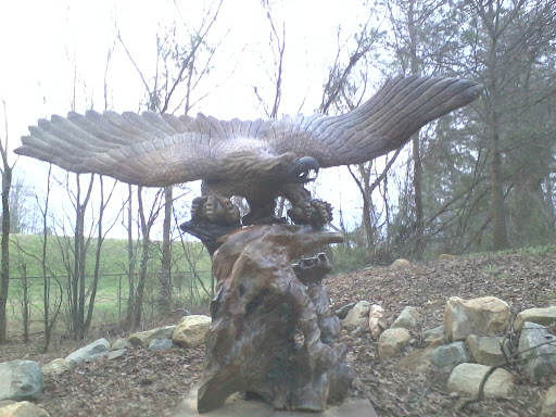 Debra Whiting Photo 5