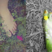 Laura Phipps Photo 23