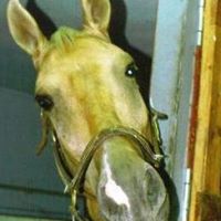 Debra Cooley Photo 23