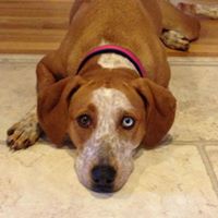 Jessica Timmons Photo 17