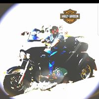 William Brand Photo 27