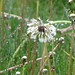 Misty Stevenson Photo 16