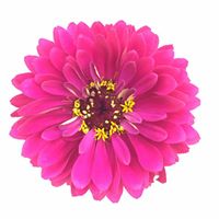 Lisa Hulbert Photo 10