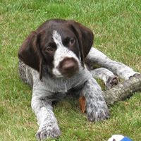 Elaine Ball Photo 22