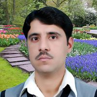 Ahmed Shah Photo 12