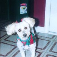 Sara Hammer Photo 12