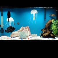 Sandra Atwood Photo 11