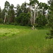 Glen Greenland Photo 8