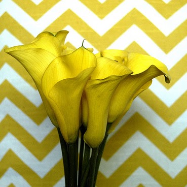 Helen Morrison Photo 40