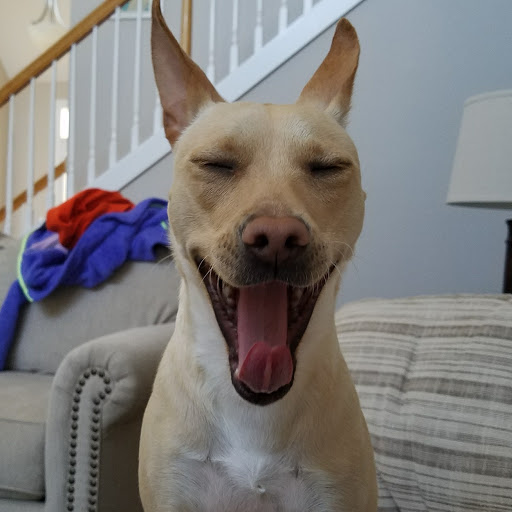 Robert Saunders Photo 15