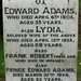 Edward Adams Photo 23