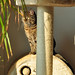 Amy Grau Photo 6
