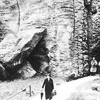 David Vesely Photo 11