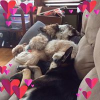 Dana Morris Photo 37