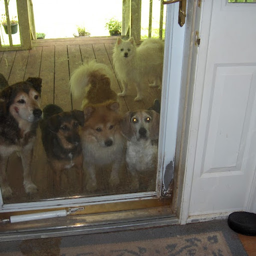 Susan Story Photo 23