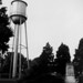 Kelly Lawler Photo 29