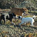Bobby Roscoe Photo 13
