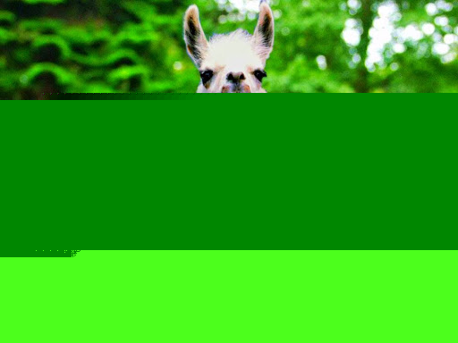 Joseph Noonan Photo 32