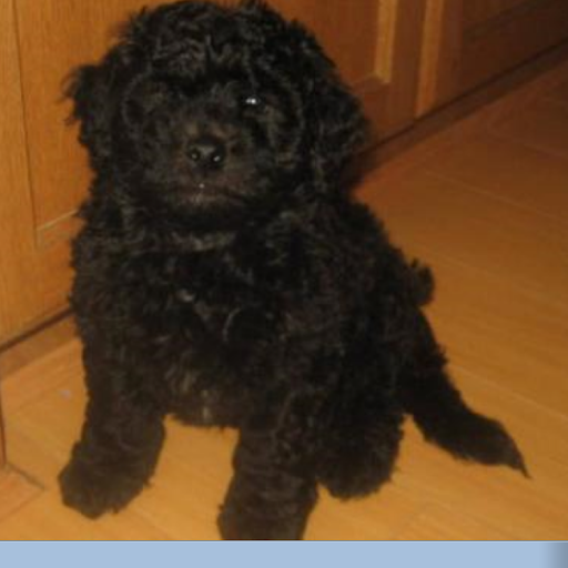 Geraldine Murray Photo 8