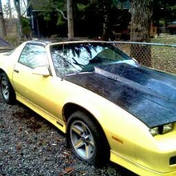 Michael Sack Photo 40