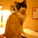 Linda Byrd Photo 19
