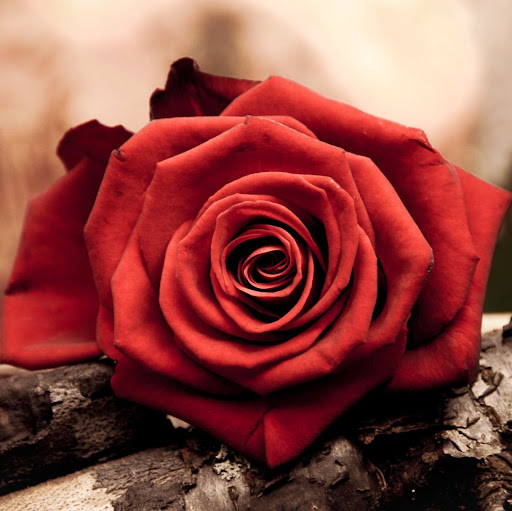 Cindy Mejia Photo 31