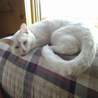 Brenda Snyder Photo 19