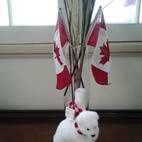 Tracy Kilburn Photo 6