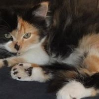 Pamela Hurt Photo 13