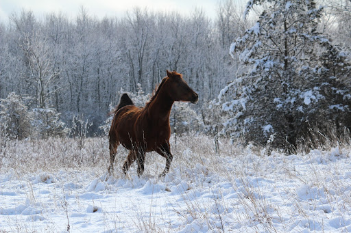 Dawn Gannon Photo 18