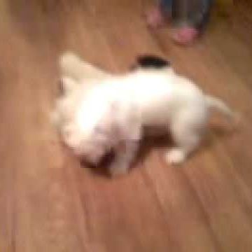 Gloria Garay Photo 3